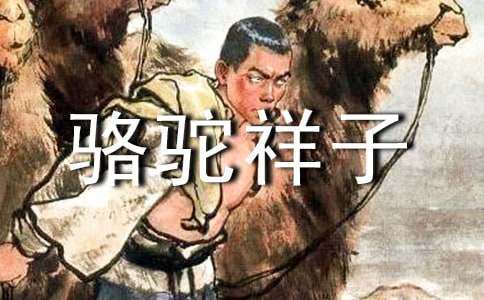 關于駱駝祥子的初中讀書筆記