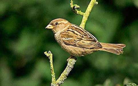 С��ȸ�ļҔ�������