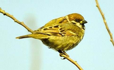 �茑��ȸ������350�֣�ͨ��32ƪ��