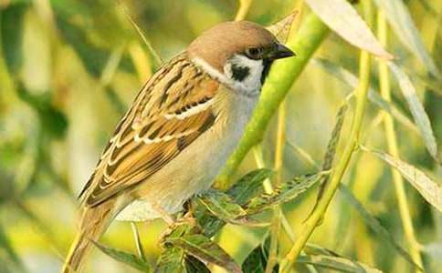 ��ȸ������700�֣����x18ƪ��