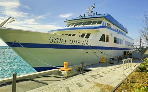 ���P�a�^����500����ƪ