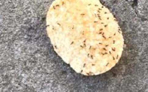 Λρ���������7ƪ