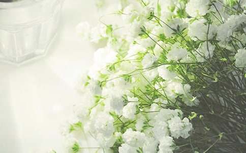 滿天星的經典句子