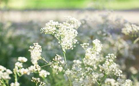 ��B�M���ǵ�400������