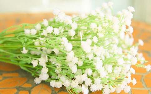 贊美滿天星的作文「狀物」