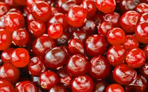 ��Խݮ�ĠI�B�rֵ�cʳ�ù�Ч