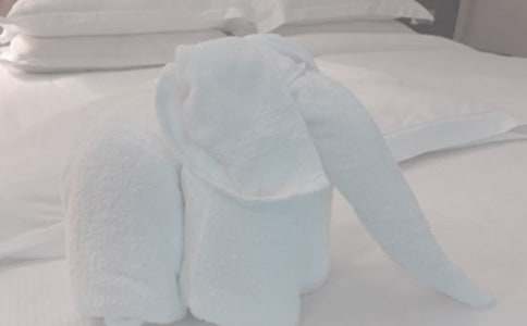 毛巾的自述作文600字