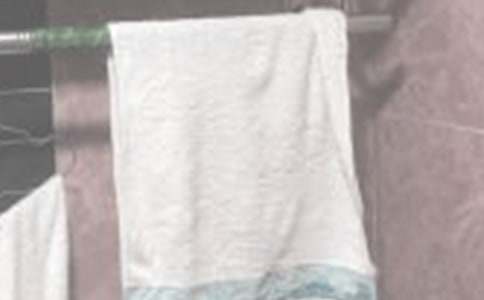 毛巾與抹布的小學生作文