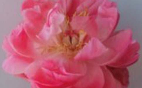 ���Põ�����ĺϼ�7ƪ