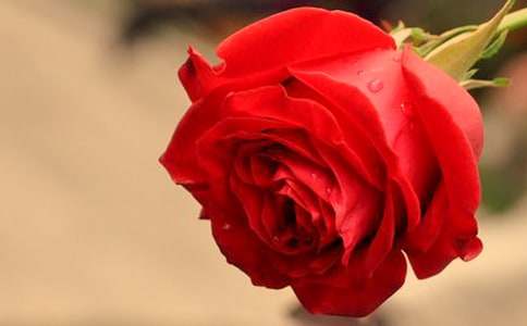 õ�庣��һ�~С������