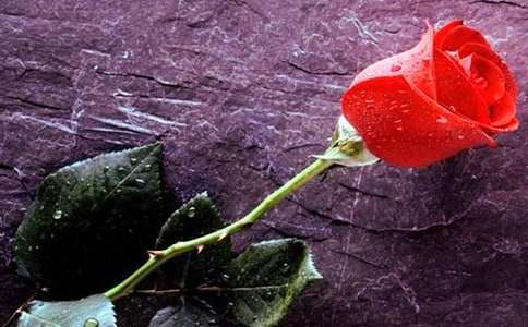 õ�廨������