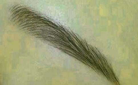 ���H��üë����_�茑�ְ�900��