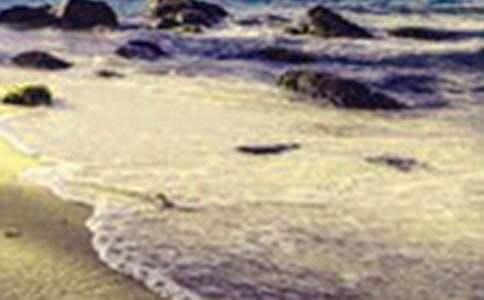 ӛ����̎��������������