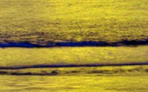 ����ɽ����������