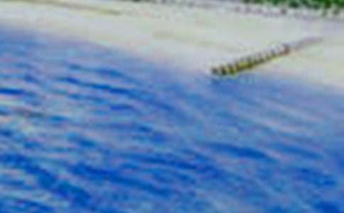 �茑���B����������