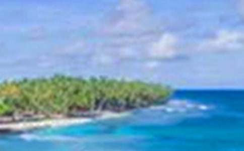 �P������ѩ���ĺϼ�6ƪ