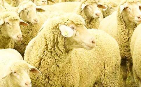 �d���׷��ͯԒ����