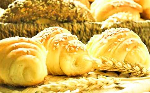 ��������ĺϼ�6ƪ