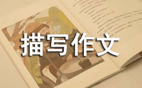 �����茑����400�֣����x98ƪ��