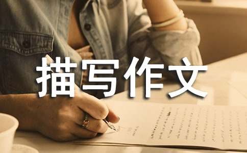 ���������茑����800��