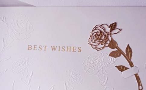 ��ܰ������Ƭ���Z230��