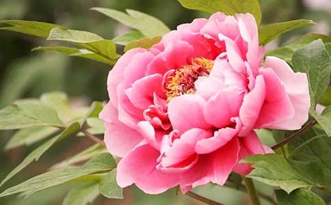 �^��ĵ�������ģ�ͨ��40ƪ��