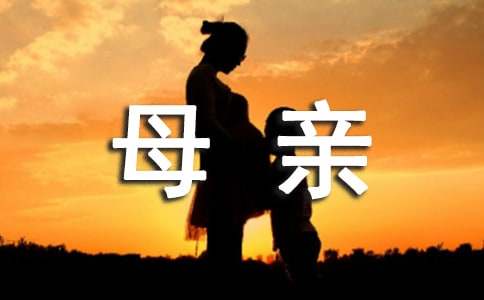 作文我的母親800字