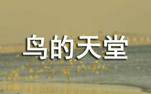 С�W���꼉�σԡ��B�����á��̌W�OӋ���ģ����x13ƪ��