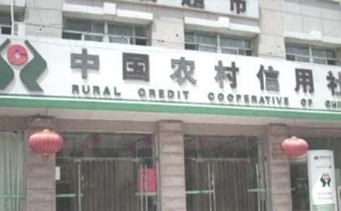 農村信用社的實習報告集錦