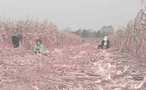 ��һ�θ��r�����ġ����T��