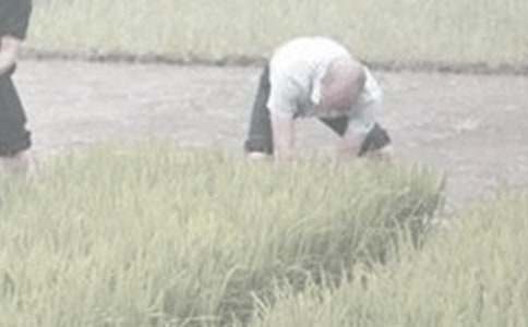 暑假干農活作文(通用30篇)