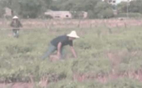 ��һ�θ��r�������