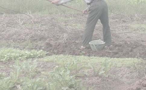 六年級下冊第一單元第一次干農活作文范文