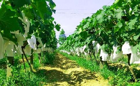 �y�����r�Ҙ�����