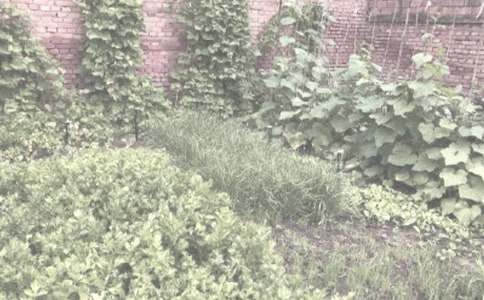 ������r��������