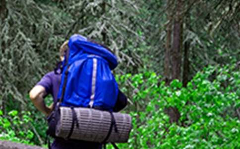 �P����ɽ�Ĕ������ģ����x16ƪ��