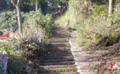 ��ɽ������