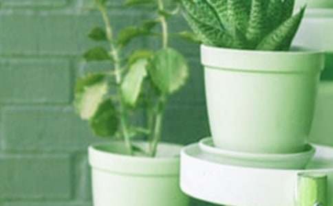 С��������