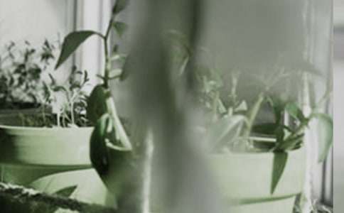 ����С�W����