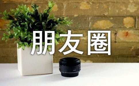 朋友圈里的年味400字作文