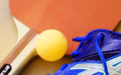 打乒乓球初中生作文500字