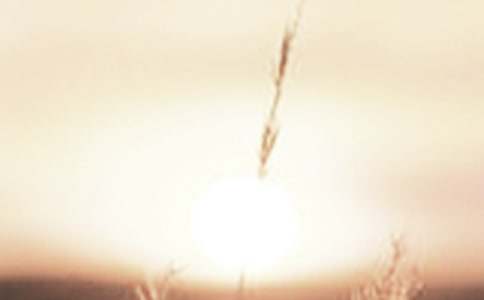 �ƕԵ��Ҹ�����