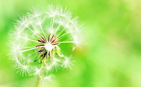 �ѹ�Ӣ�ĉ������ľ��x15ƪ