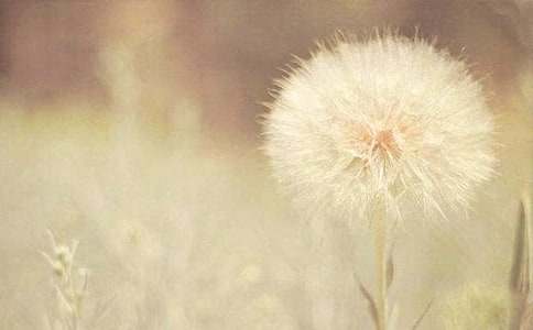 ���ѹ�Ӣһ���pӯ��������2000��