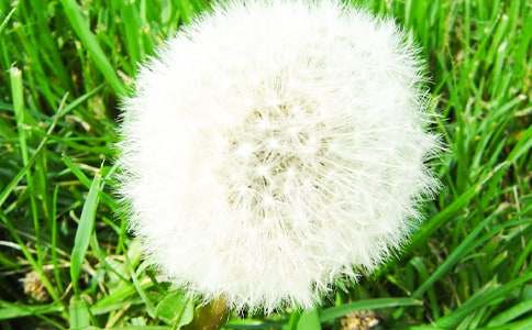 �ѹ�Ӣ�^������ 6ƪ