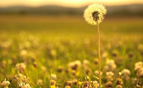 С�W�^���ѹ�Ӣ������400��