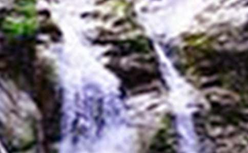 �茑�S�����ٲ������ģ����x53ƪ��