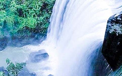 �茑�ٲ������꼉����