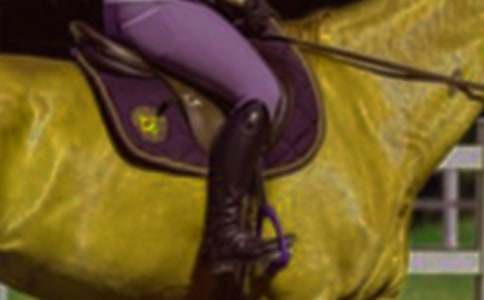 �P���T�R�Ĺ������ģ����x43ƪ��