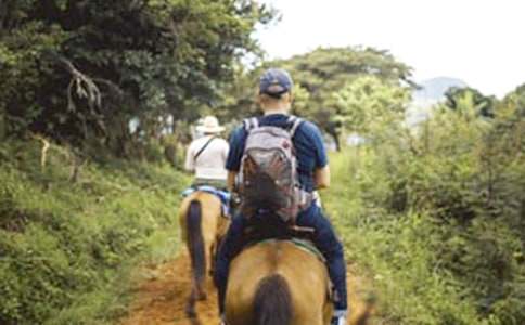 【實用】騎馬作文300字20篇